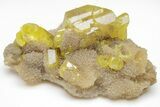 Striking Yellow Sulfur Crystals on Fluorescent Aragonite - Italy #209543-2